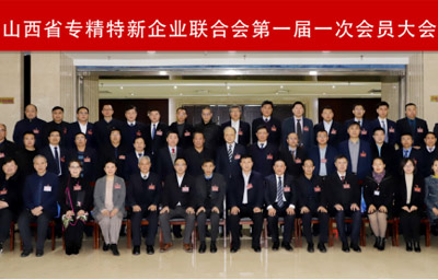 乐动在线(中国)唯一官方网站成为山西省专精特新企业联合会副主席单位